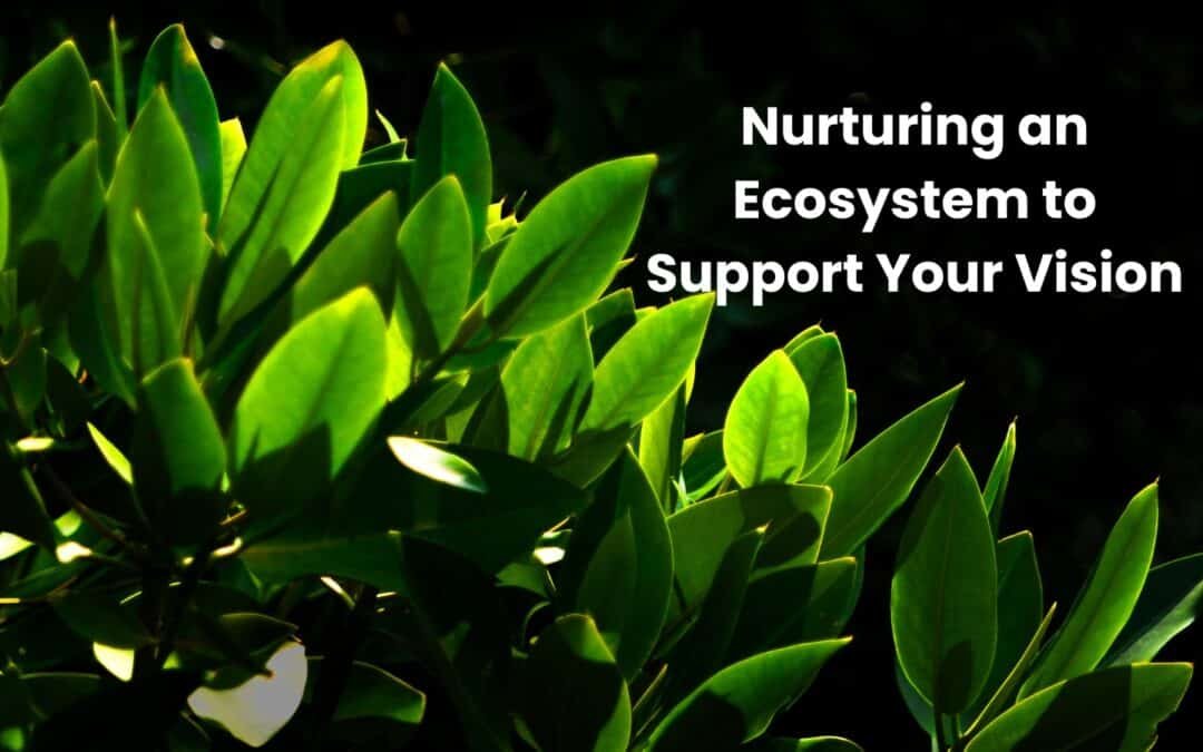 Nurturing an Ecosystem to Support Your Vision