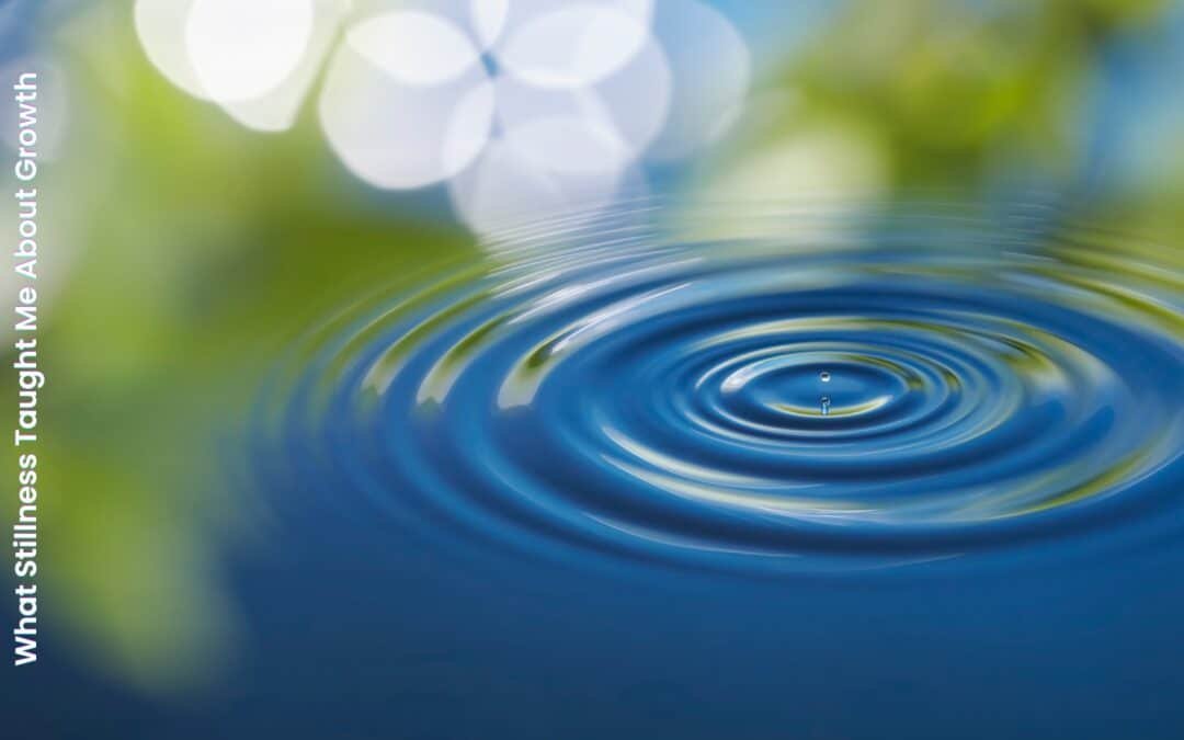 What stillness taught me about growth