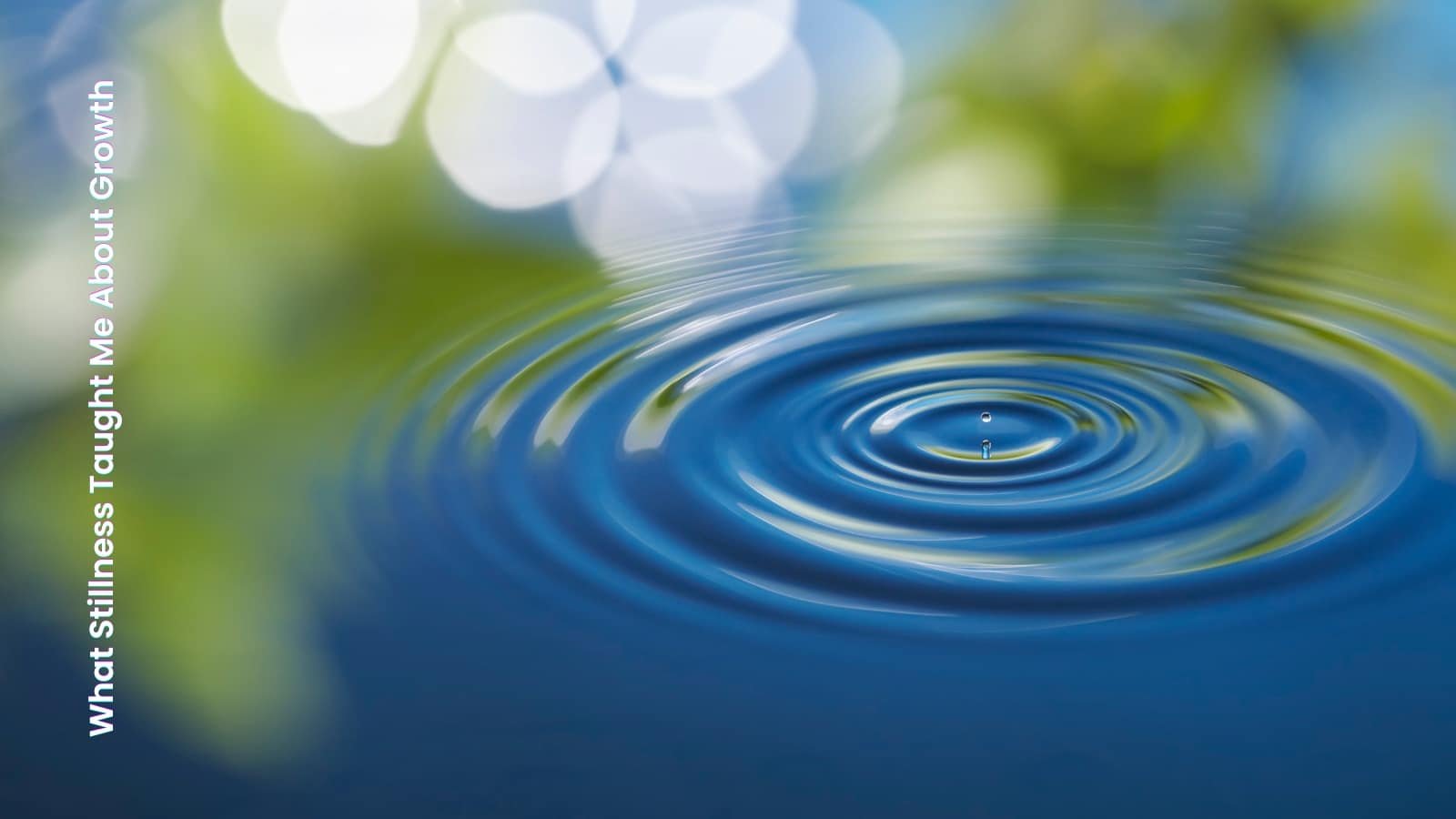 What stillness taught me about growth