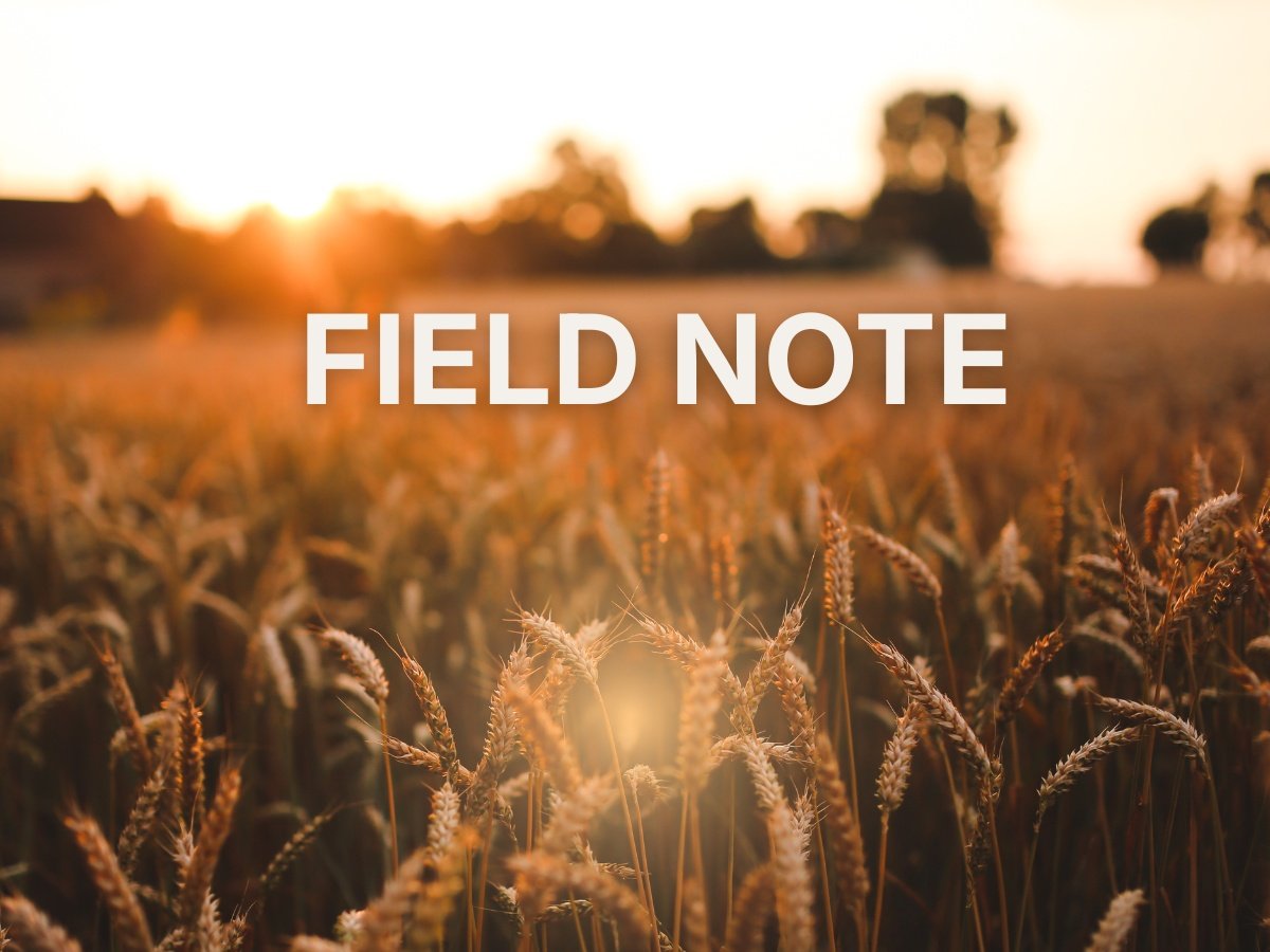 Integration as Productivity